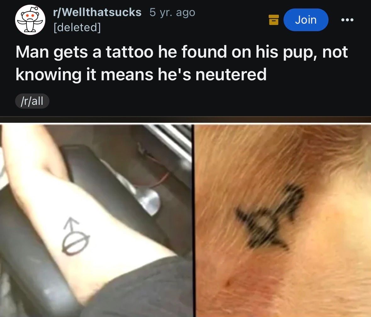 r/Wellthatsucks 5 yr. ago
• ••
Man gets a tattoo he found on his pup, not
knowing it means he's neutered