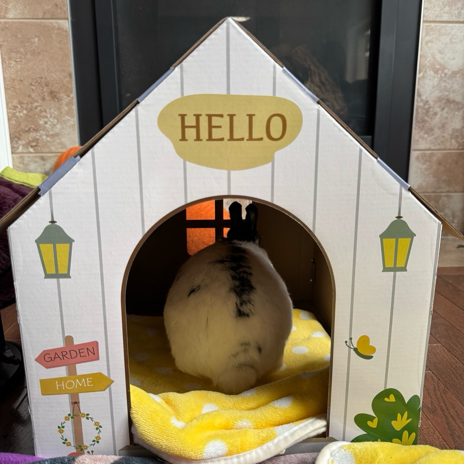 The door of a house with a giant HELLO over the door frames an ample behind. The bunny is busy in the backroom bunstructing. 
