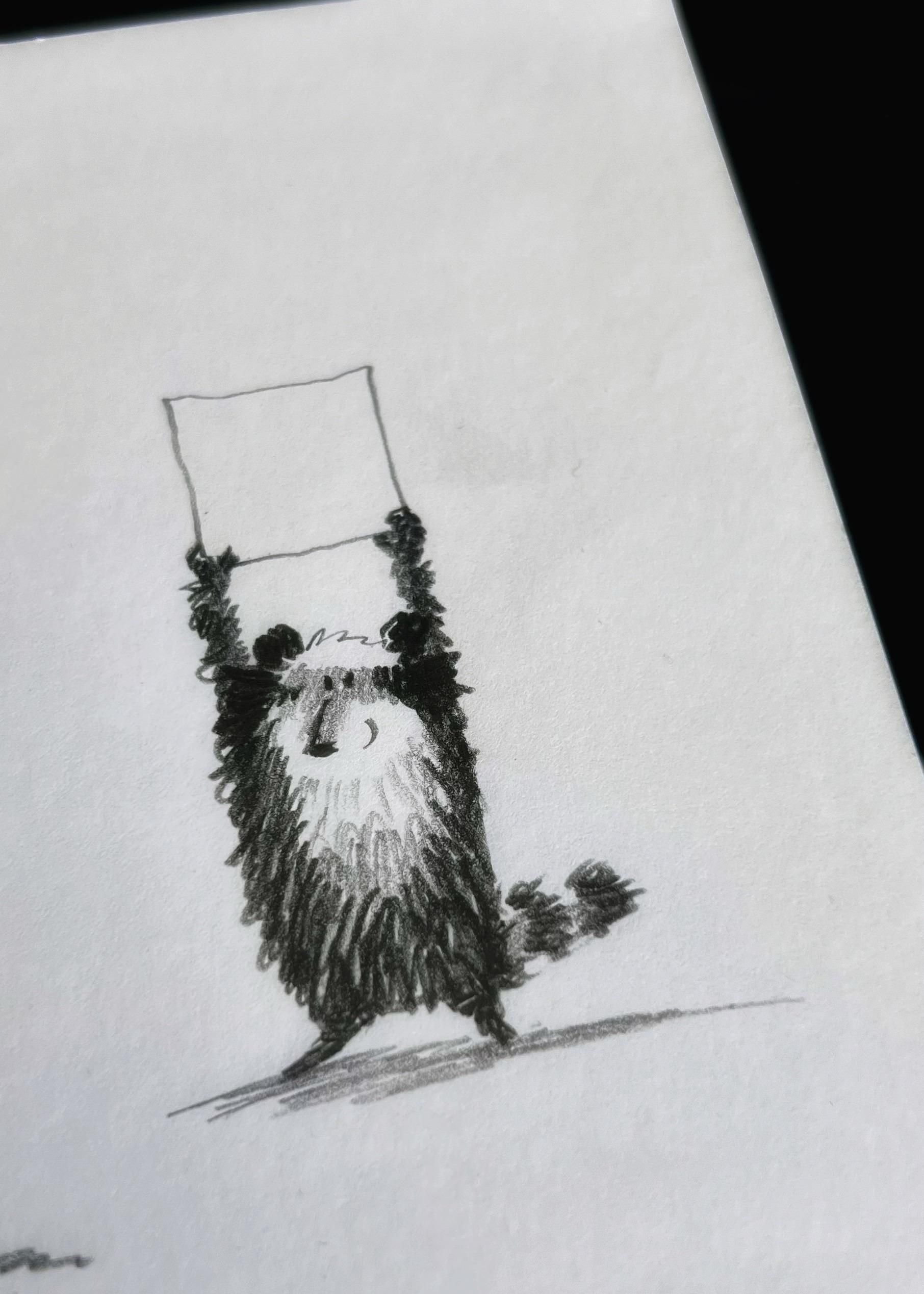 Der Waschbär hält ein Schild hoch