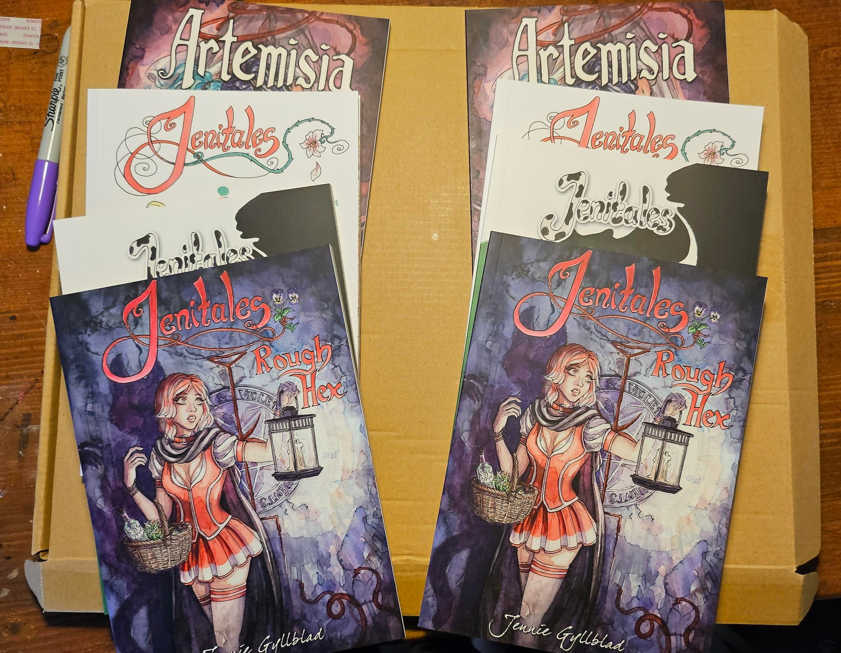 Two filthy stacks of handpainted porno comics. They're all called Jenitales.