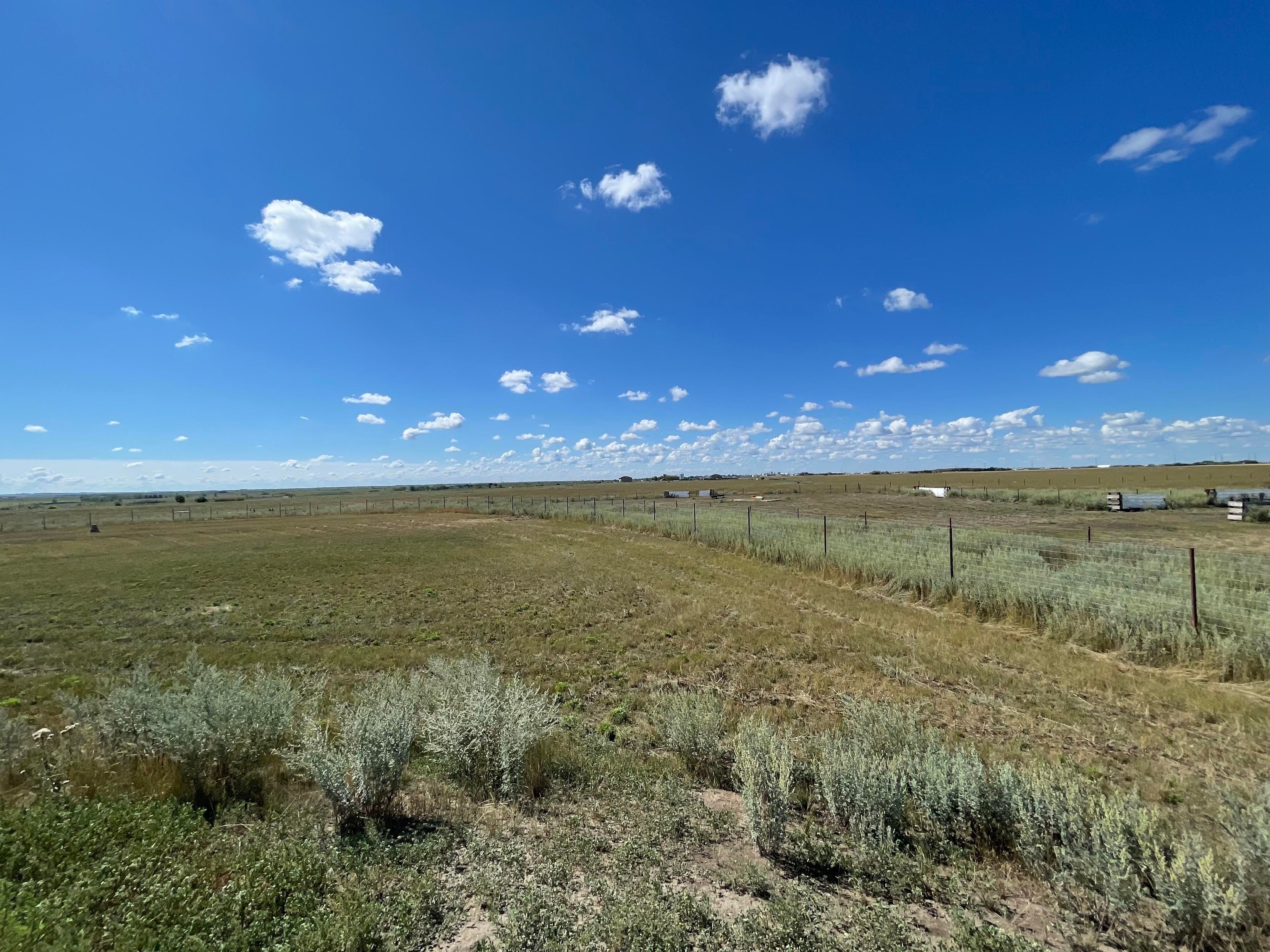 Looking out onto the prairie, there are buffalo way in the distance.