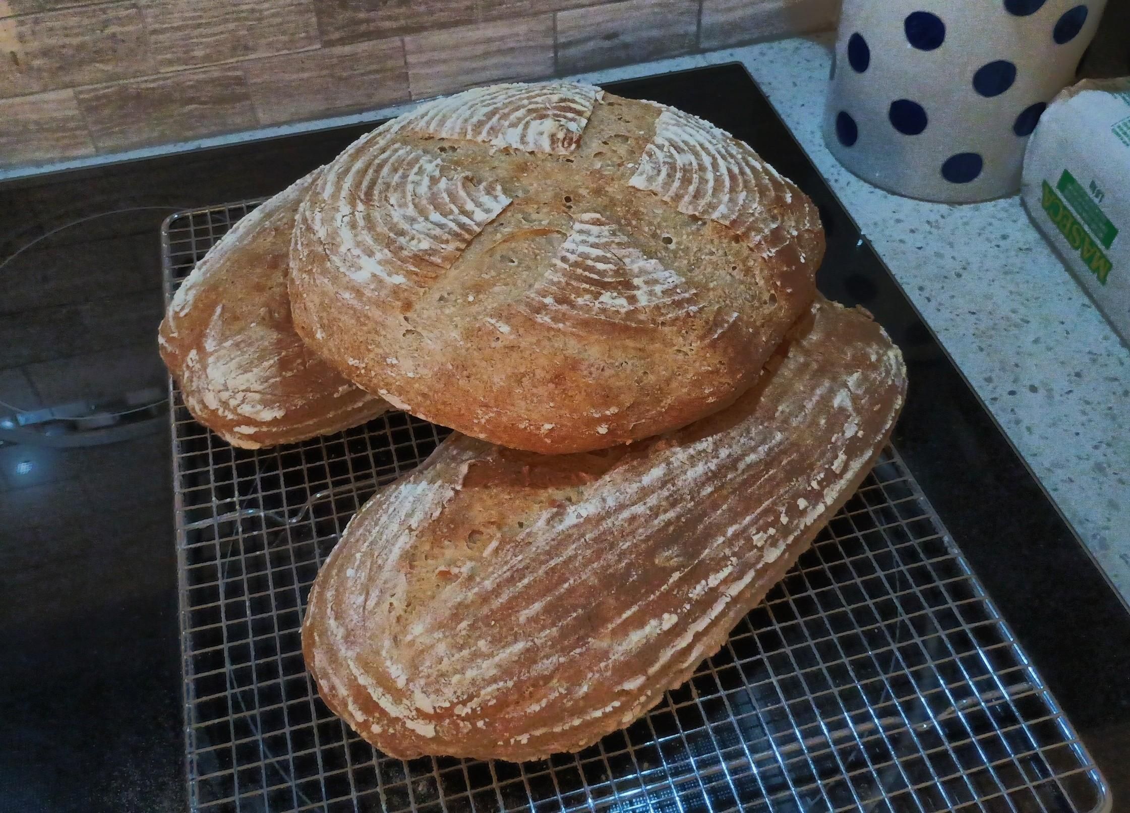 Three loaves of bread are on a rack, the top one is circular, and they're all brown and crusty looking