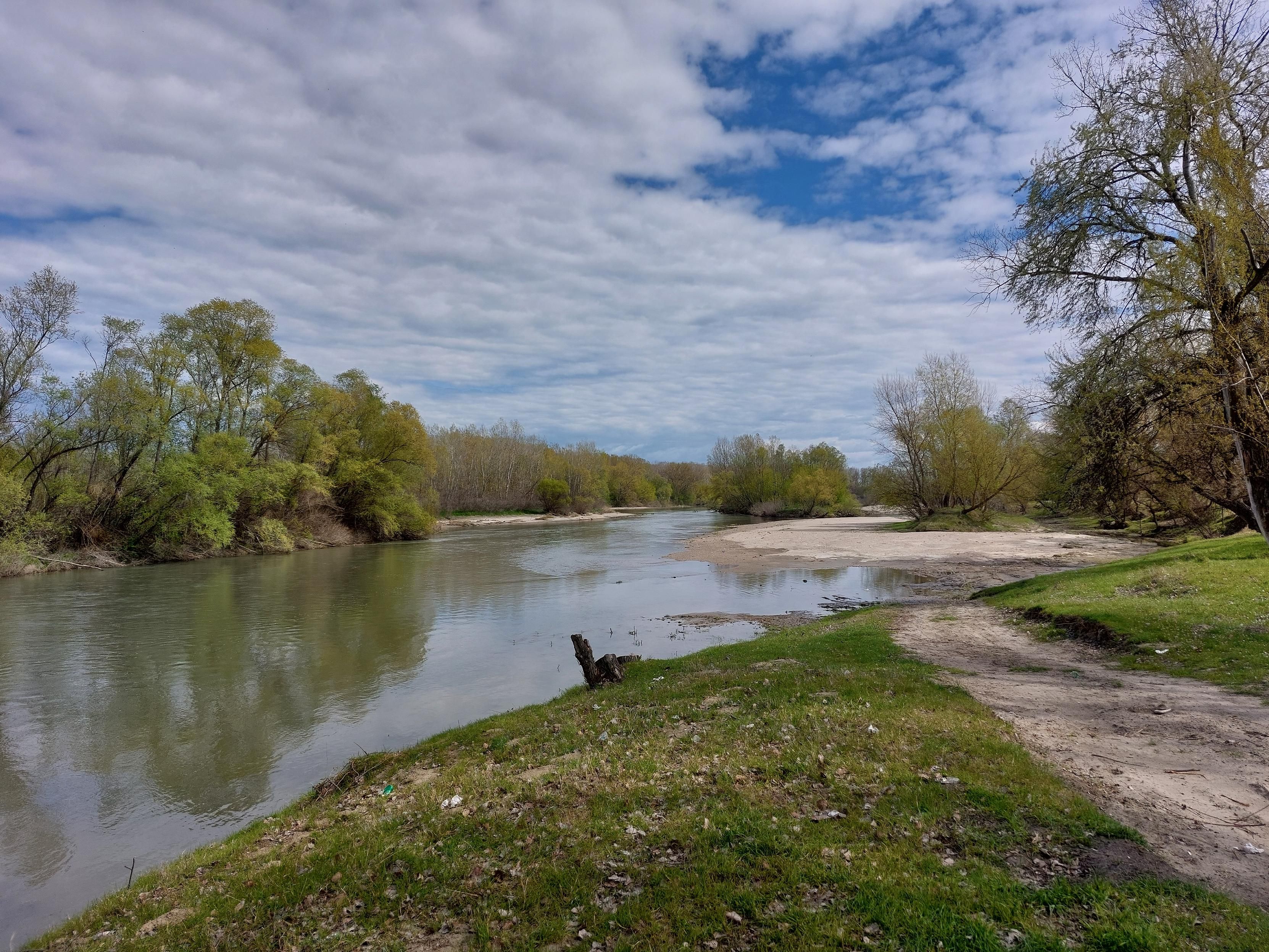 River in the spring, framed by trees with fresh leaves