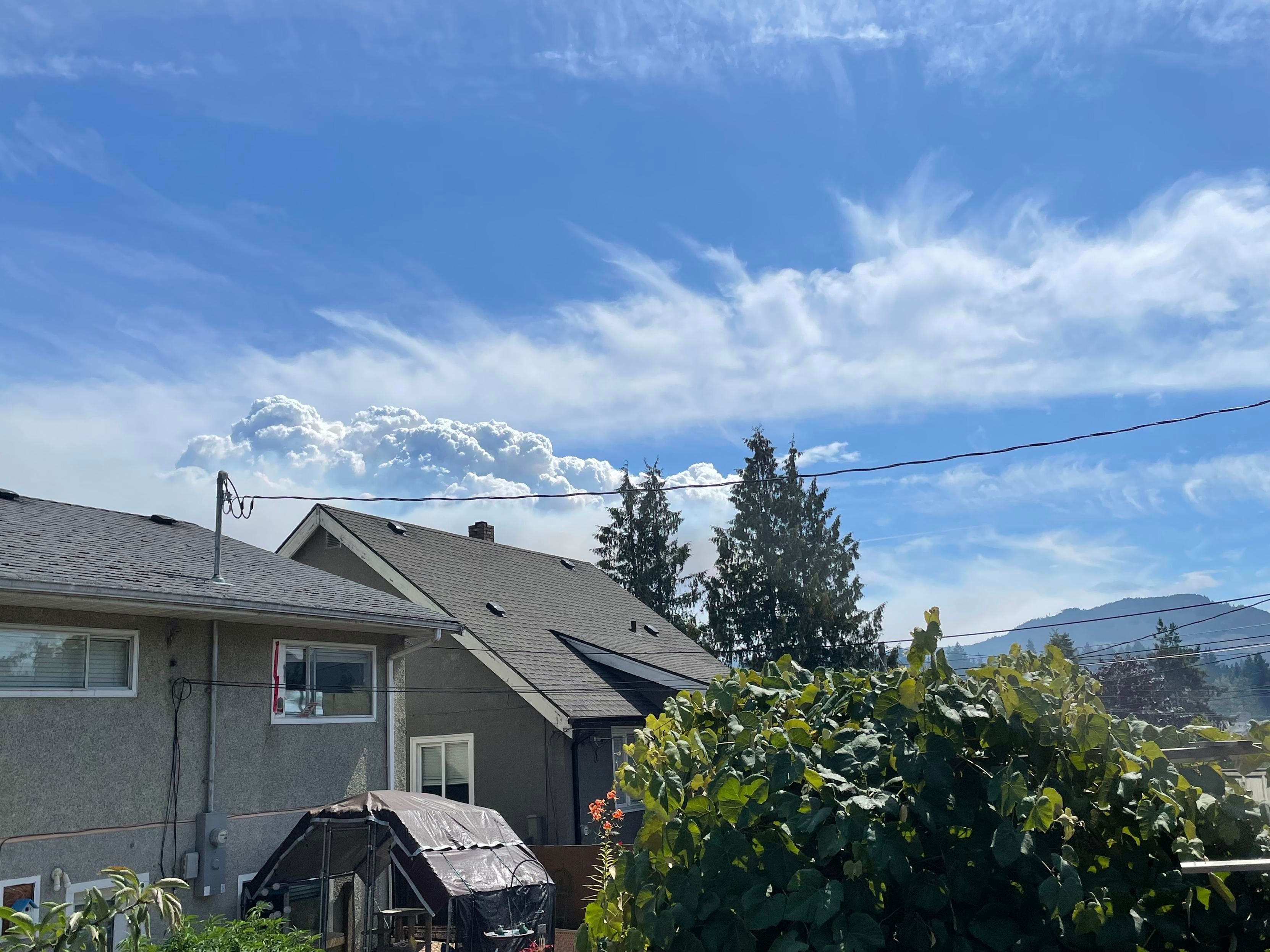 A huge pillow of fire smoke rises behind the neighbours houses. Into a blue sky.