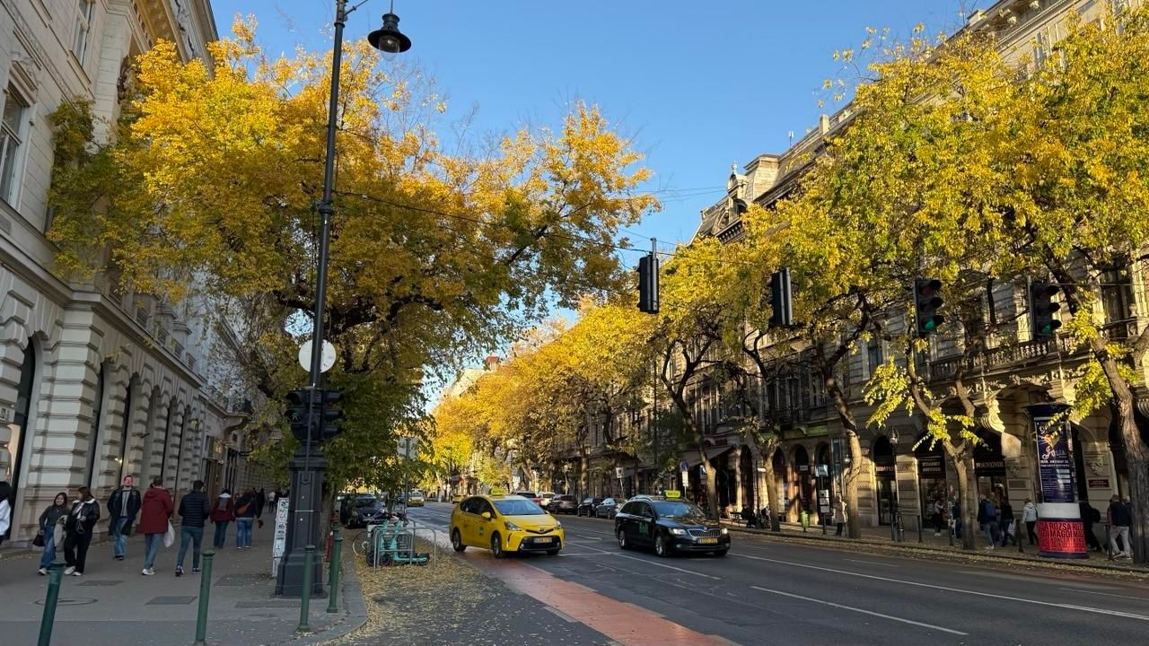 A yellow taxi pulls out into traffic on a street in Budapest. The buildings are in the white Hungarian style and the leaves on the trees are all an autumnal yellow 