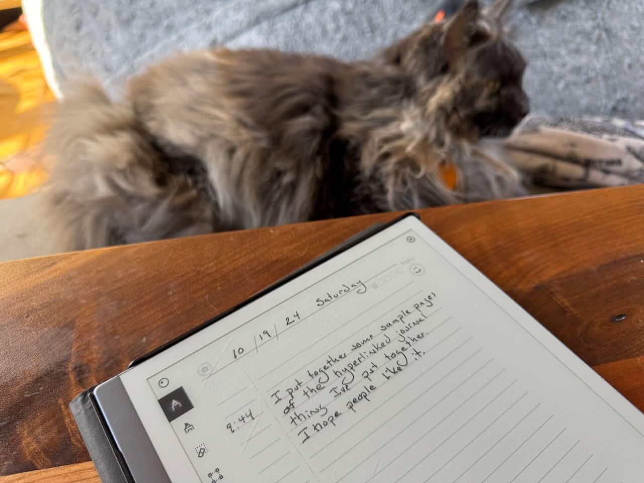 a photograph showing a page of the journal on my remarkable tablet on a wooden lap desk with a blurry cat it the distance.
