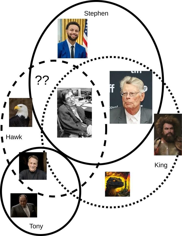 A Venn diagram explaining the overlap between Steph Curry, Stephen Hawking, Stephen King, Tony Hawk, King Richard from Blackadder, King Gizzard and the Lizard Wizard (band), and Tony Soprano. And a bald eagle, frequently voiced by a red-tailed hawk in TV and movies.