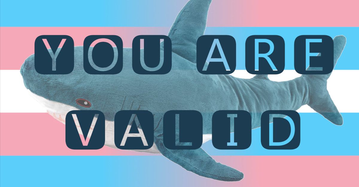 Ikea Blåhaj plush shark in front of a trans flag which itself 'transitions' half way across the image by flipping across the vertical axis. The words 'you are valid' are superimposed.