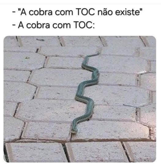 imagem de uma serpente neurodivergente com transtorno de Toc essa serpente deve ser muito doida ou zoeira ela desliza por uma calçada cor gelo de quadradinhos irregulares o que rebota o transtorno mental da nossa diva reptiliana 