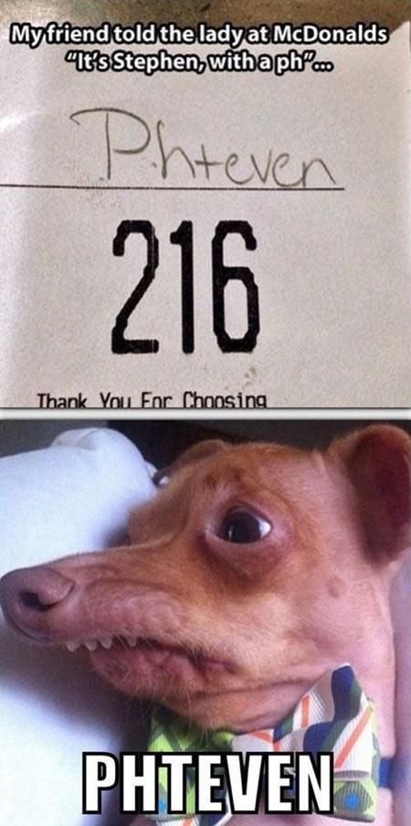 Two panel meme. Top says My friend told the lady at McDonalds "It's Stephen with a ph"...

They wrote Phteven on the ticket.

Picture on the bottom panel has a derpy looking dog wearing a bow tie, and a severe overbite. The bottom of the pic says PHTEVEN in the bold meme font