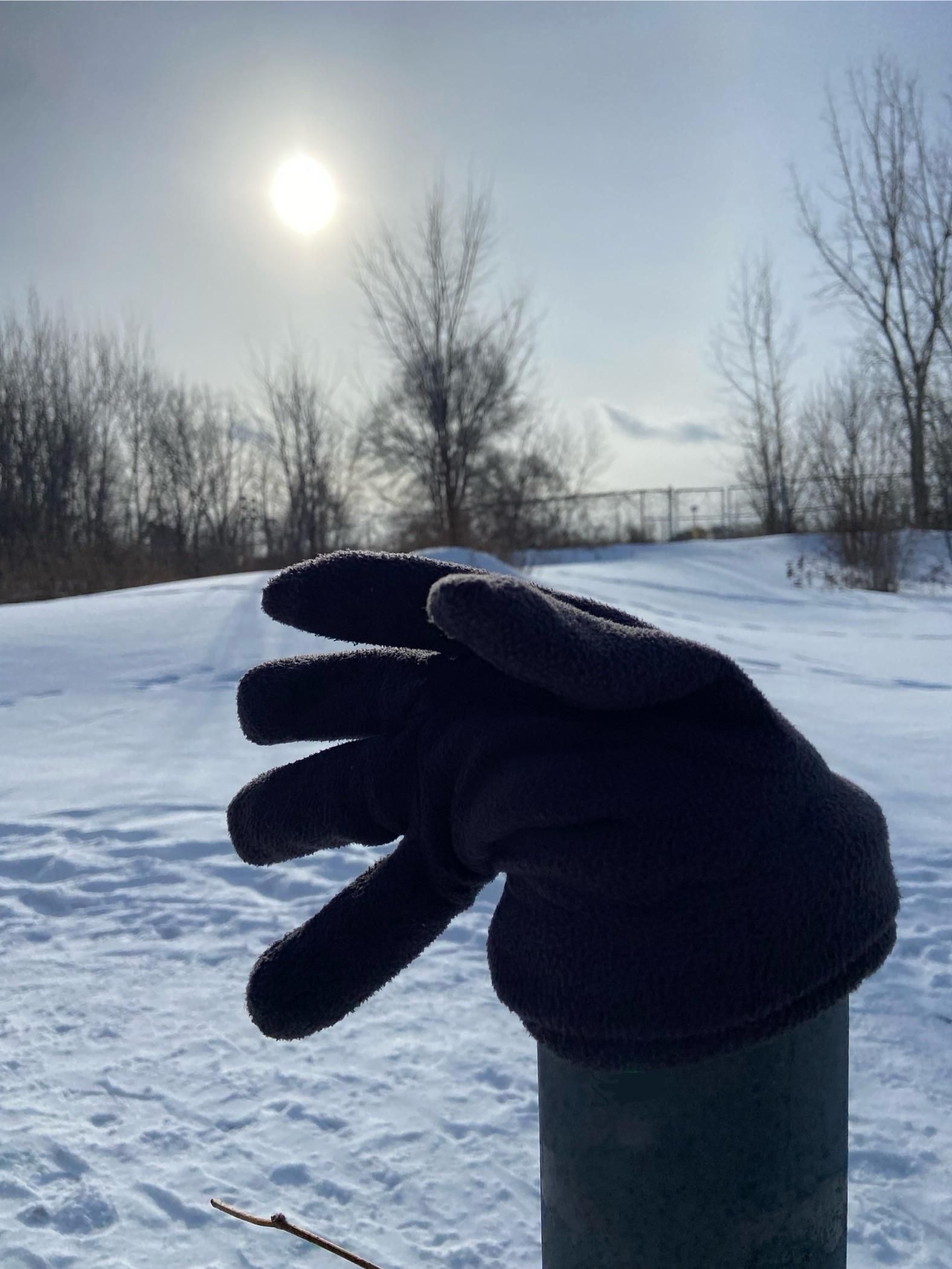 A black glove on a fence post, vaguely featuring to the left. The background is a snowy hill dotted with trees. The sun is bright and low in the sky. 