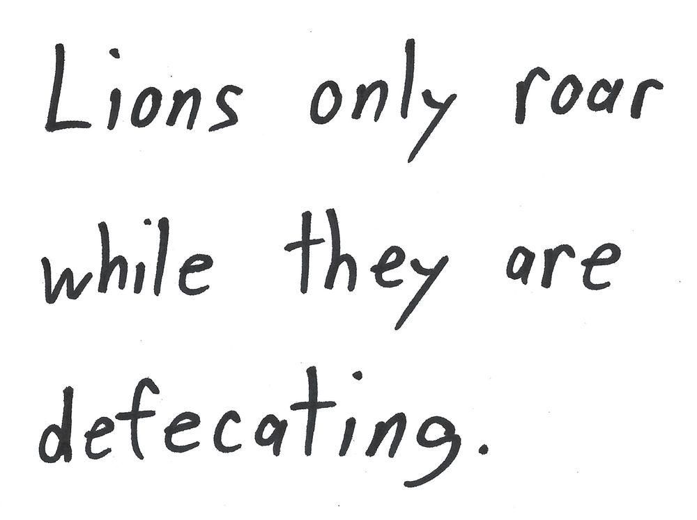 Lions only roar
while they are
defecating.