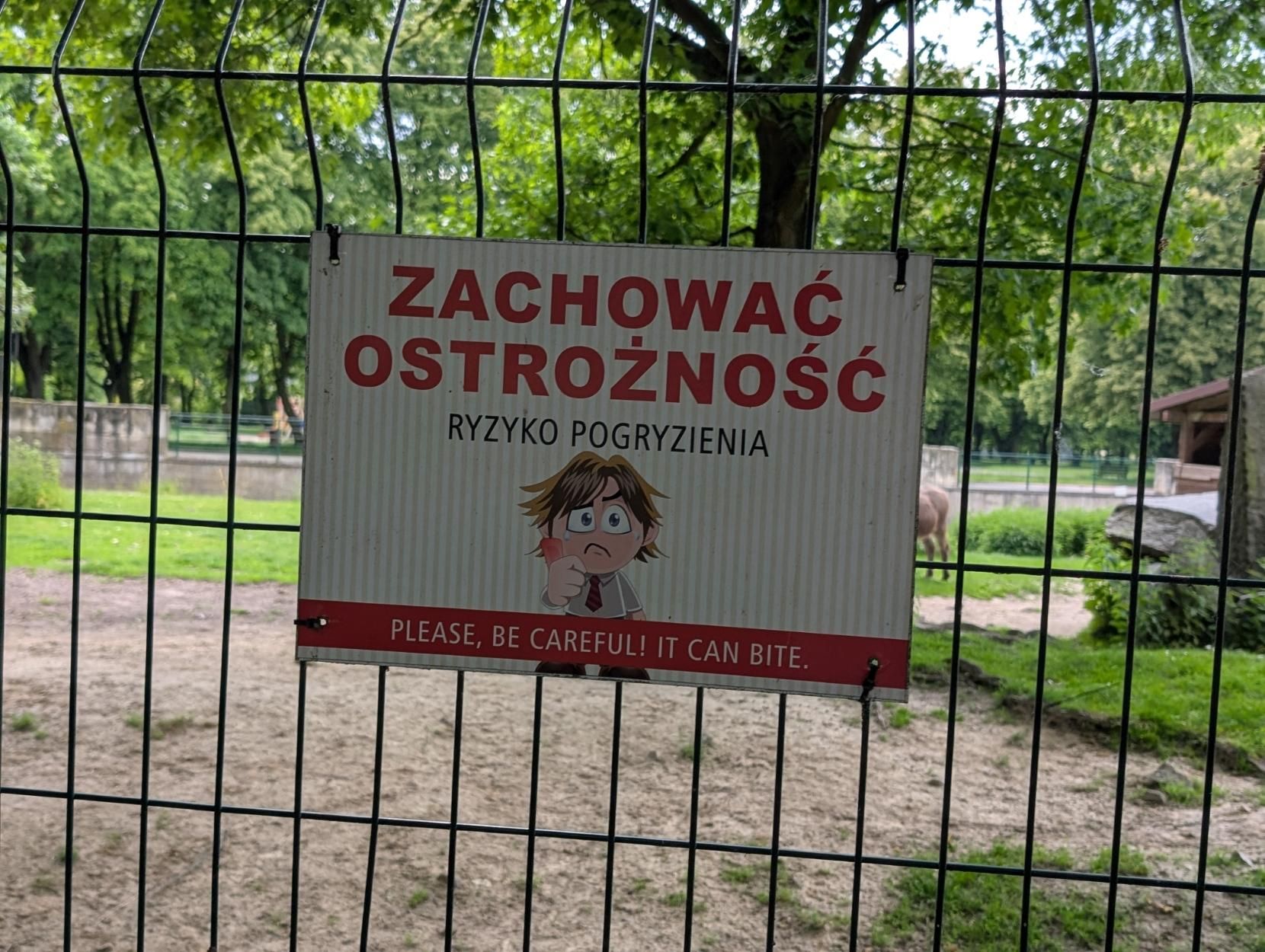 a sign on a fence in a zoo, it says "Zachować ostrożność - ryzyko pogryzienia", below in english: "Please, be careful! It can bite." along with a silly lil clipart of a sad guy with a sore thumb