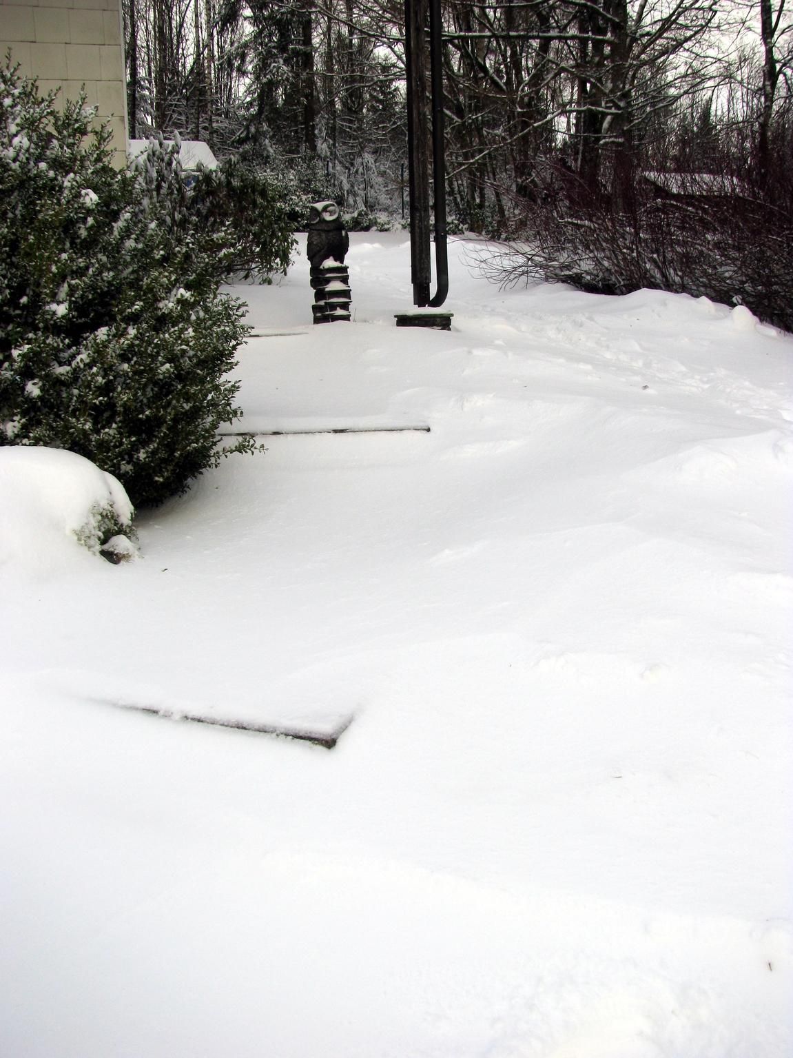Die Treppe zum Haus hab ich gestern schon einmal freigeschaufelt. Jetzt ist sie wieder kaum unter dem Schnee zu erkennen.