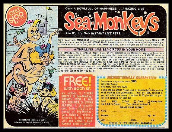 Printed ad from a comic book advertisement for "Sea Monkeys." 
An illustration shows the creatures having human-like faces. In reality, people who ordered these aquatic "monkeys" received brine shrimp. Great if you had a fish tank with fish. Otherwise a classic example of "don't believe everything you read in a comic book."