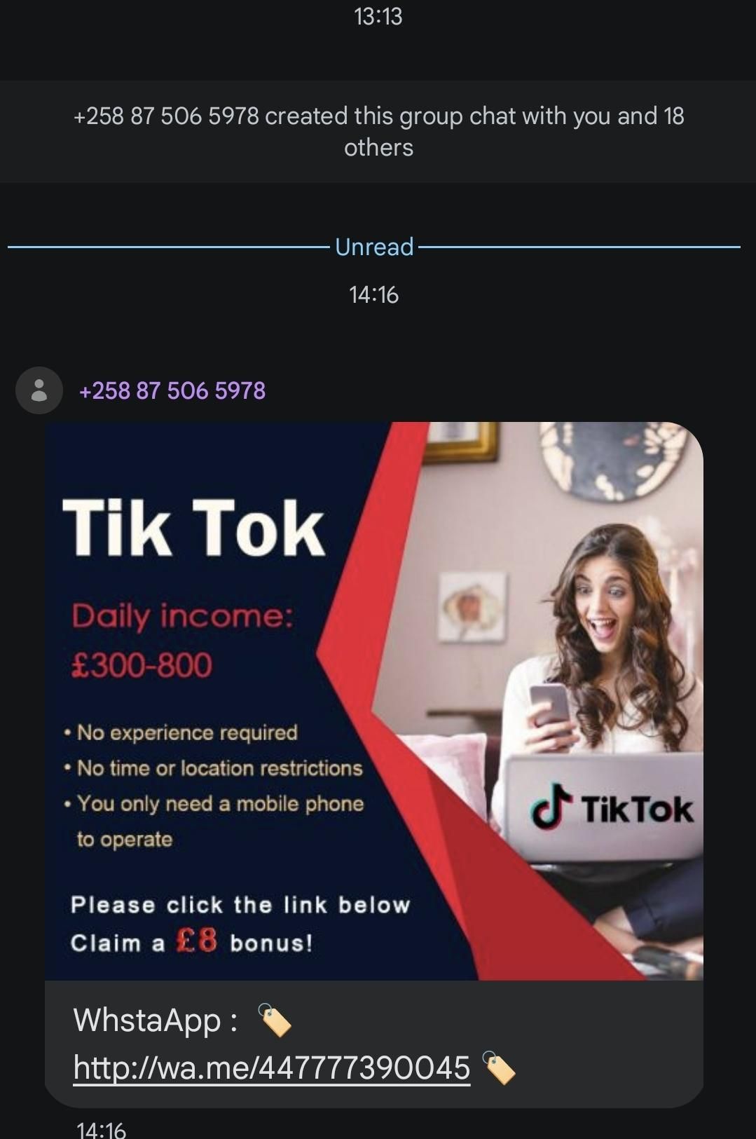 A random text message from a number with a +258 country code sending an "advert" to a "TikTok job" claiming it can provide £300-£800 a day.