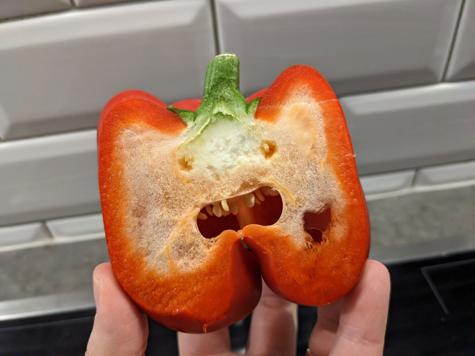 A bell pepper cut in half, showing what looks like an angry mouth with crooked teeth. Two eyes have been prodded in, to complete the face