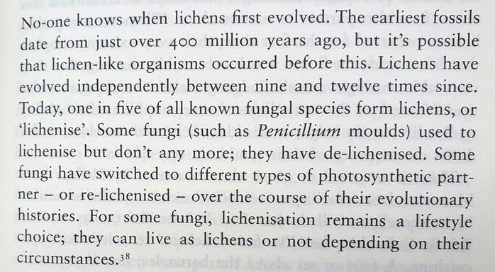 No-one knows when lichens first evolved. The earliest fossils date from just over 400 million years ago, but it’s possible that lichen-like organisms occurred before this. Lichens have evolved independently between nine and twelve times since. Today, one in five of all known fungal species form lichens, or ‘lichenise’. Some fungi (such as Penicillium moulds) used to lichenise but don’t any more; they have de-lichenised. Some fungi have switched to different types of photosynthetic partner — or re-lichenised — over the course of their evolutionary histories. For some fungi, lichenisation remains a lifestyle choice; they can live as lichens or not. depending on their circumstances.