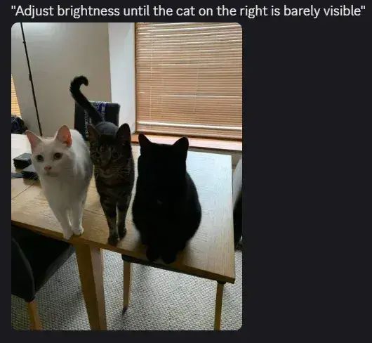 "Adjust brightness until the cat on the right is barely visible"
Below the text are three cats. A white cat, a gray cat, and a cat so black it's only visible when the brightness is turned up.