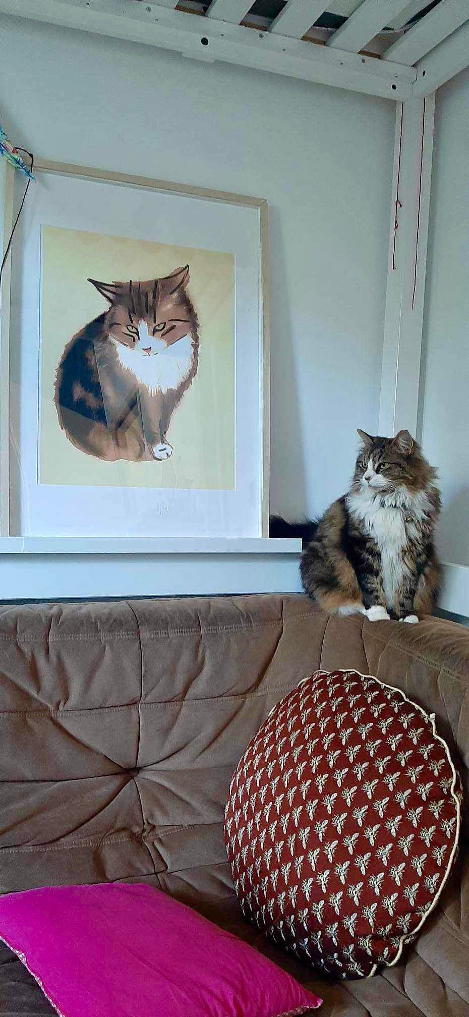 Chatte assise sur le dossier d’un canapé marron devant un portrait d’elle plus que grandeur nature que j’ai dessiné. Elle regarde au loin vers la gauche de l’image. 