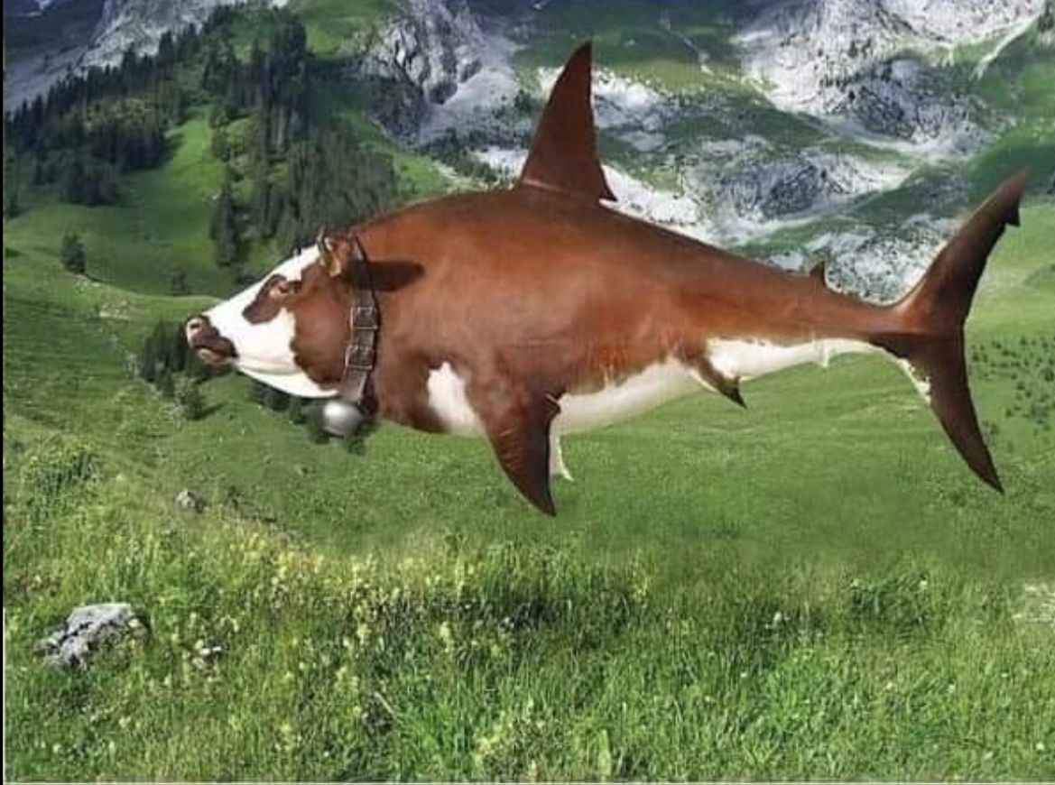 Gephotoshoppte Mischung aus einer braun-weißen Kuh und einem Hai. Farblich Kuh, Kopf Kuh (inklusive Kuhglocke), Rest Hai.
Da keine Beine schwebend über einer Wiese, im Hintergrund Gebirge.