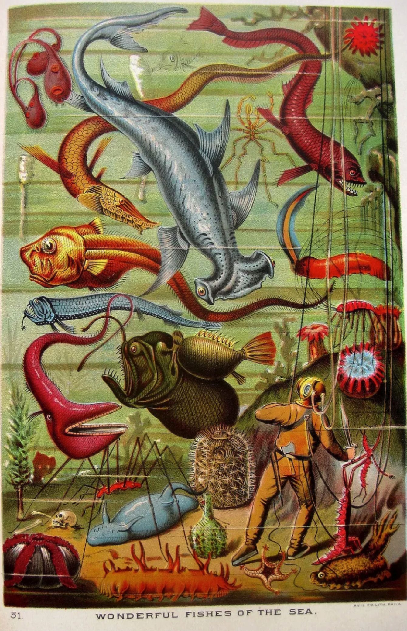 A colorful, cluttered Victorian illustration of "wonderful fishes of the sea" there are angler fish, eels, sharks, and a diver in an old style suit. Many of the creatures are bizarre and unreal looking. 