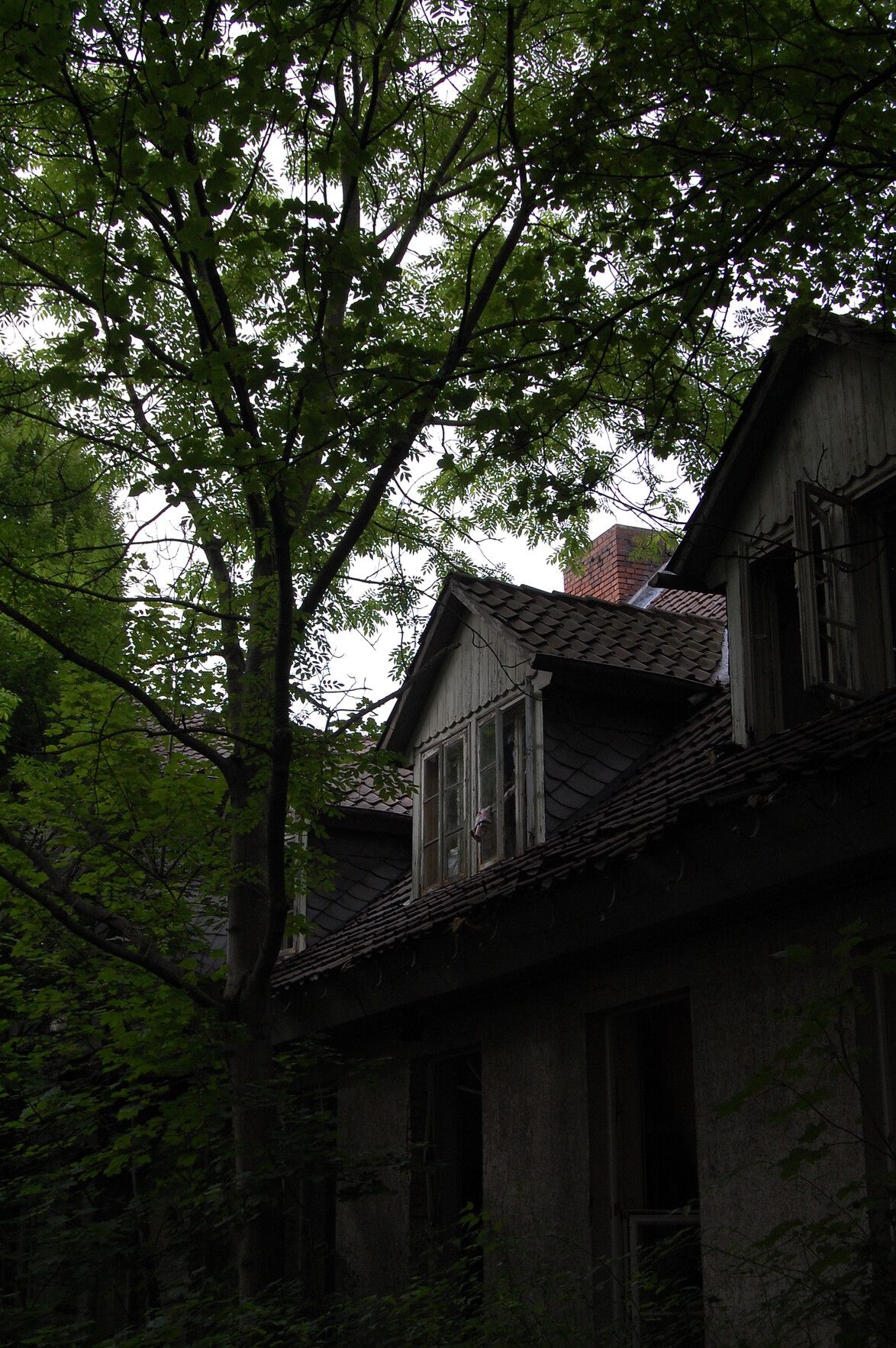 Foto im Halbprofil eines verfallenen Hauses, das zwischen Bäumen steht.