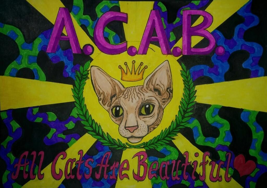 Sphinx cat wearing a crown with caption A.C.A.B - All Cats Are Beautiful