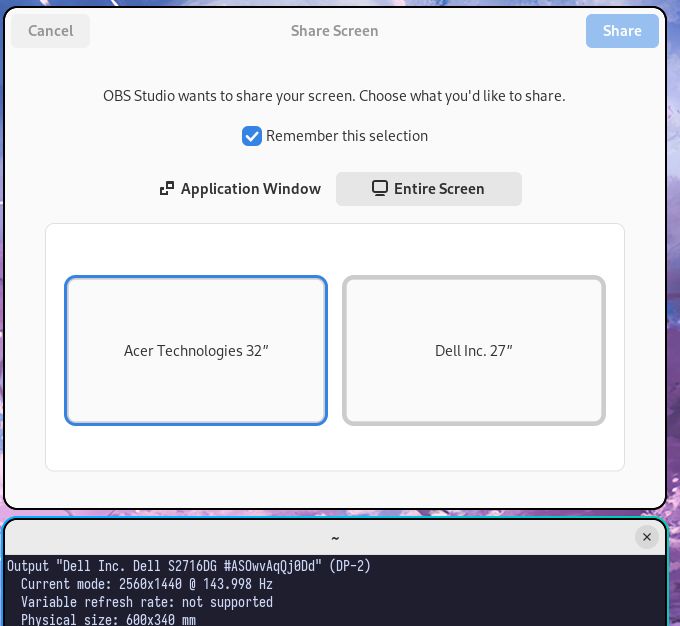 Screencast monitor selector from xdp-gnome showing real monitor manufacturers, and below it, niri msg outputs showing the full manufacturer/model/serial for a monitor.
