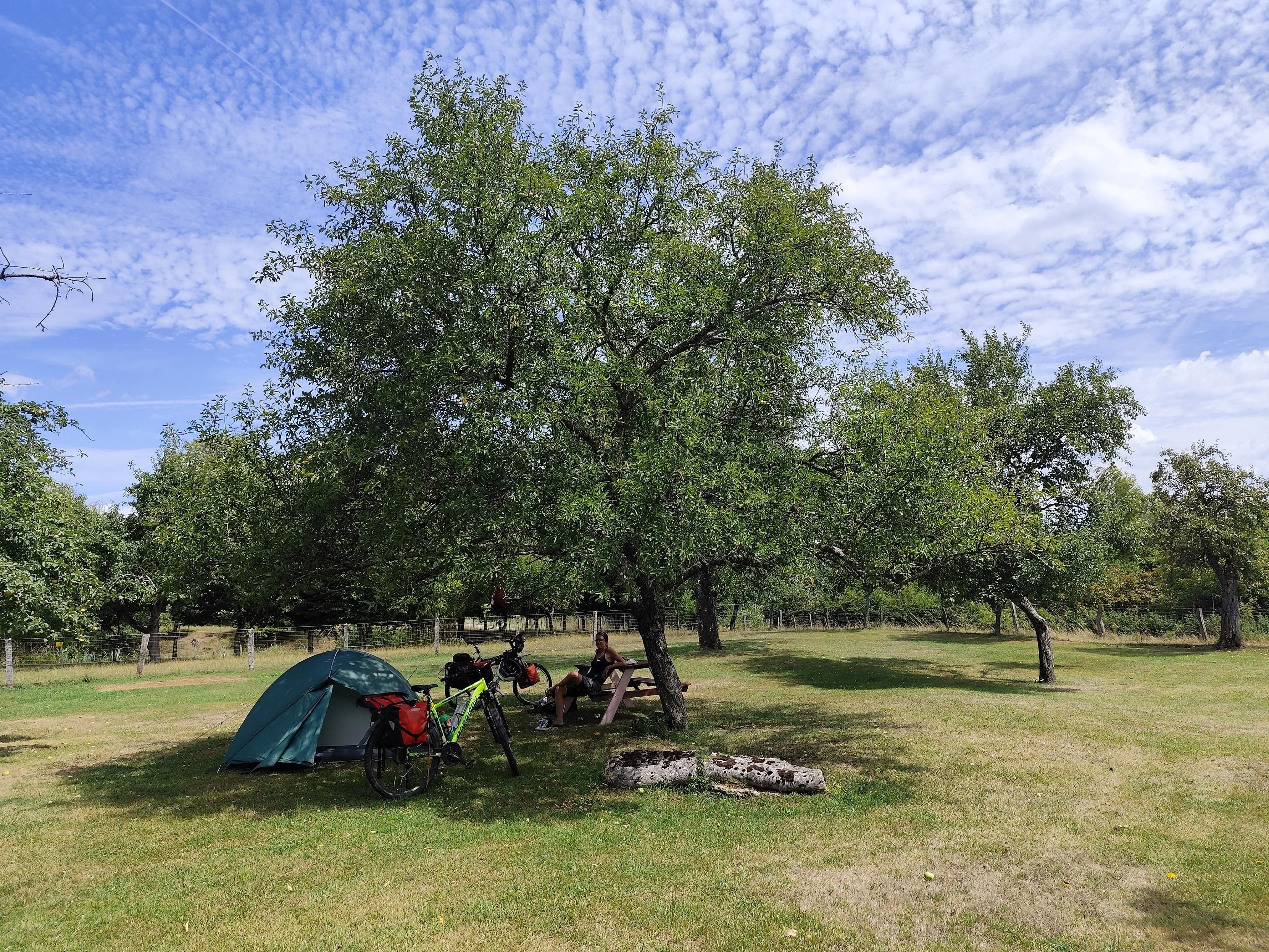 Auf einer Baumwiese stehen ein Zelt und zwei Fahrräder im Schatten