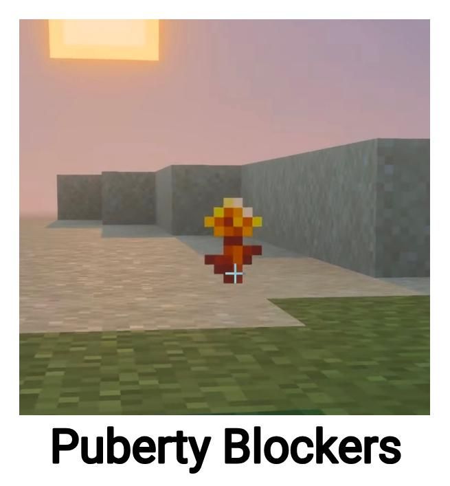 Screenshot from Minecraft with the new Golden Dandelion block placed on a sand. The Golden Dandelion is a flower which when applied to baby animals prevents them from ever growing to adults. The screenshot is captioned "Puberty Blockers".
