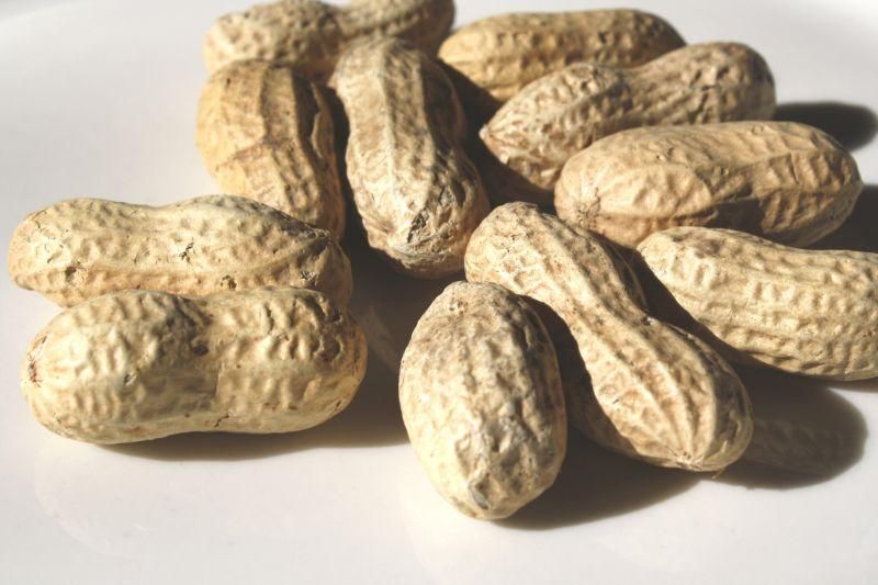 Peanuts in the shell.