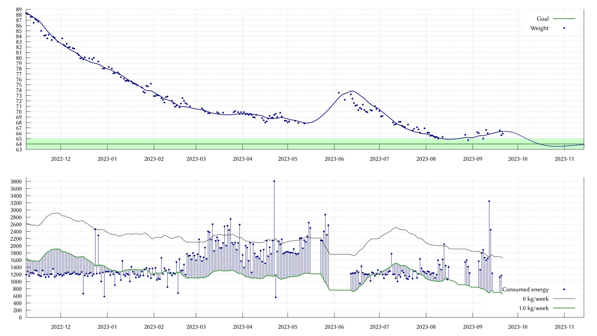A graph of my weight. Since two months, it hovered around 66 kg. I tracked it on and off.