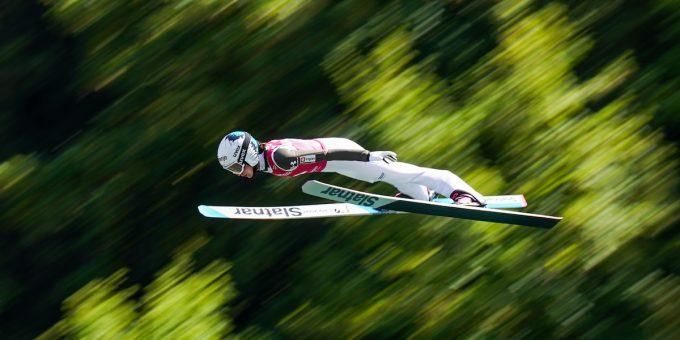 Immagine relativa all'articolo