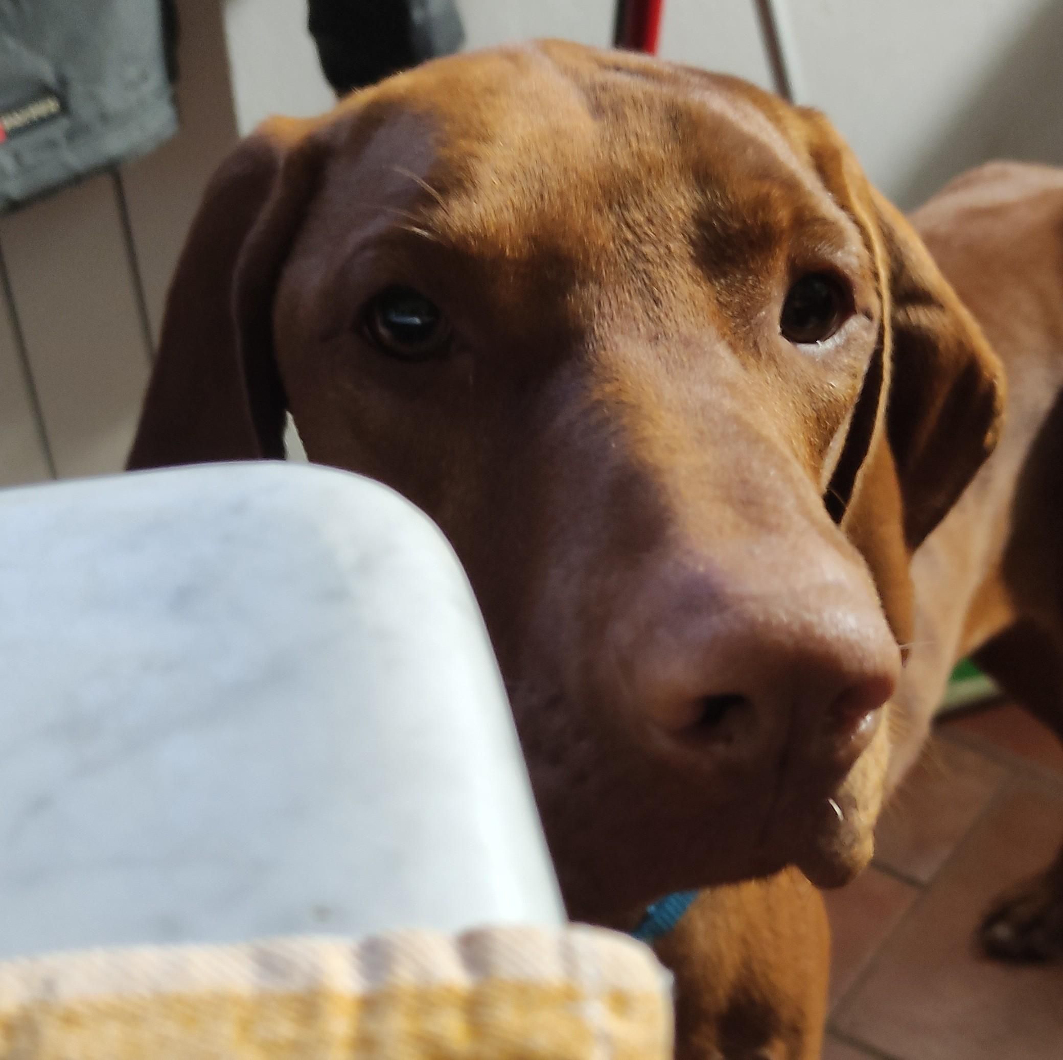 Ecco alla stessa distanza dal tavolo, dalla parte opposta 