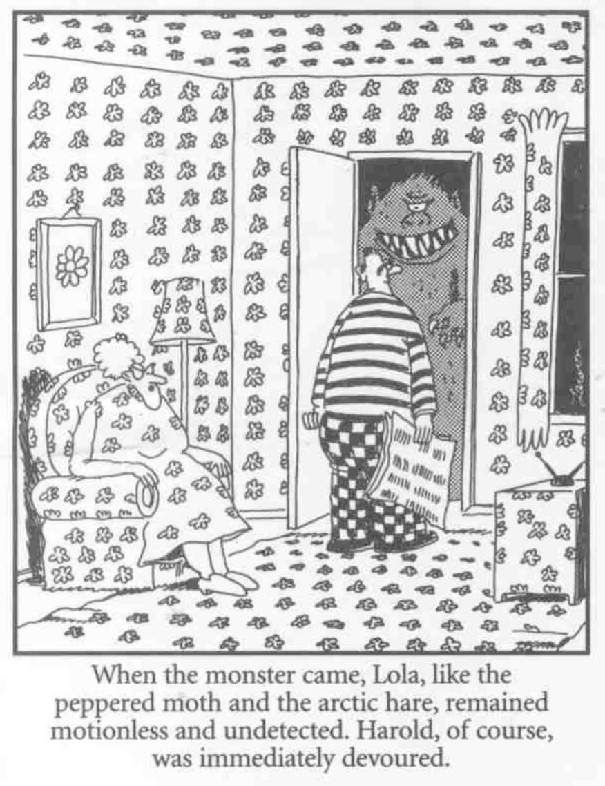 All I could see was this cartoon.

A woman in a floral print dress sits in a chair with the same pattern, in a room with the same pattern on the walls.  A man is opening the door where a Monster stands.

The captions reads: "When the monster came, Lola, like the peppered moth and the arctic hare, remained motionless and undetected.  Harold, of course, was immediately devoured."