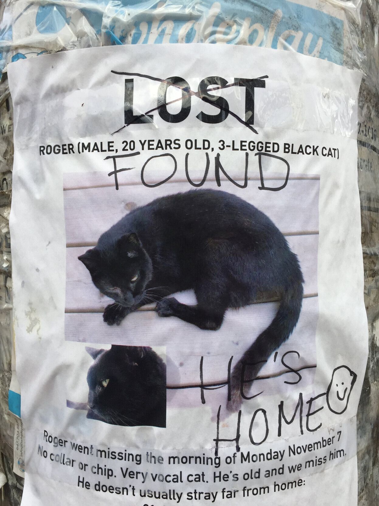 a “lost cat” poster has been crossed out, and the text FOUND he’s home smiley face has been scribbled on it