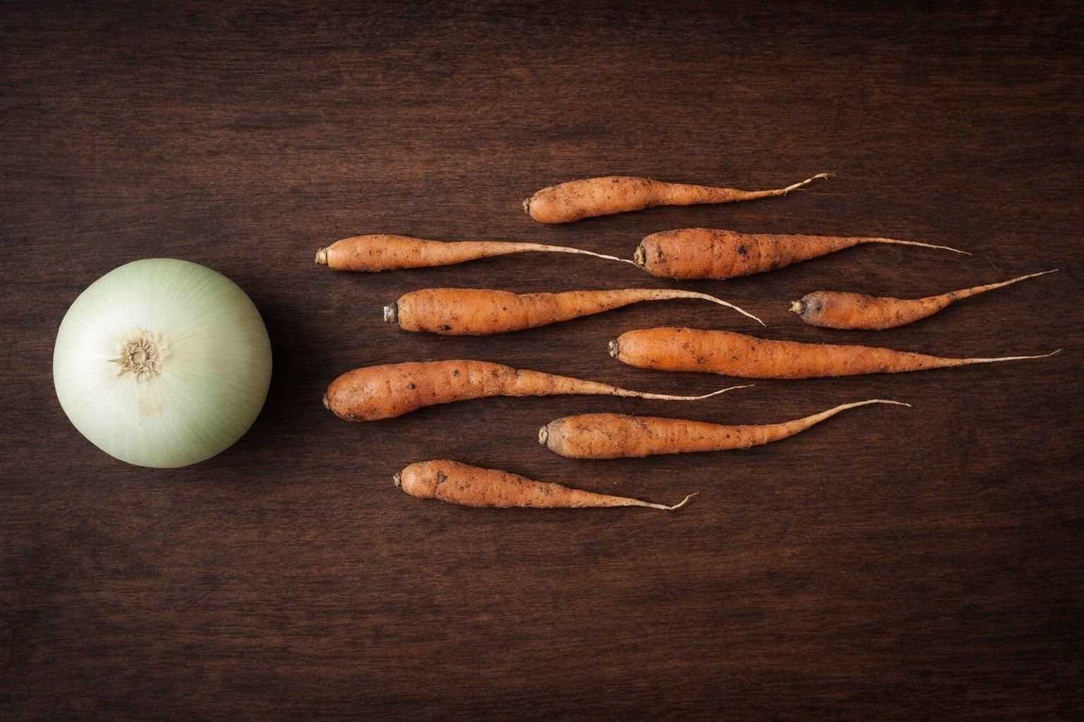 Carote che si avvicinano ad una cipolla