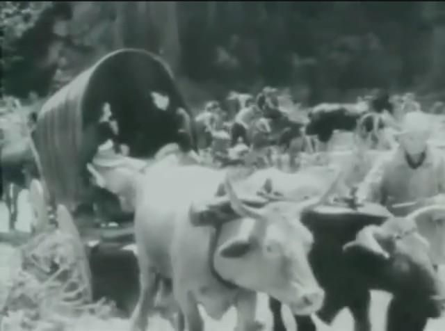 Picture of Cattle or Cows dragging a wagon structure with unknown mysterious person inside (representing industry or top leaders in that Tech #cult)