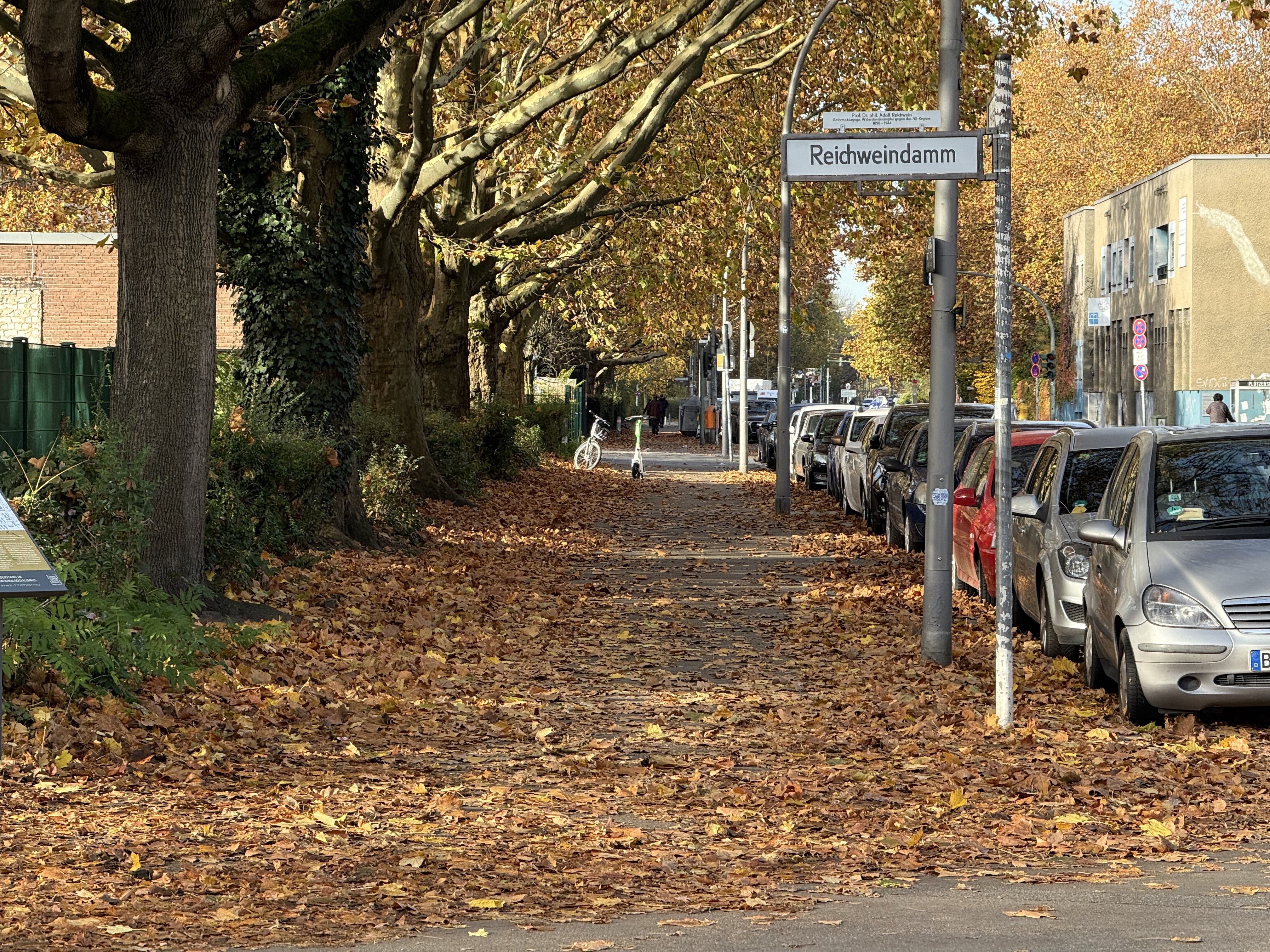 A sidewalk, covered in brown leaves, trees line the left of the sidewalk, cars line the right. There is a scooter and a bicycle in the distance.

In the foreground is a street sign saying "Reichweindamm".