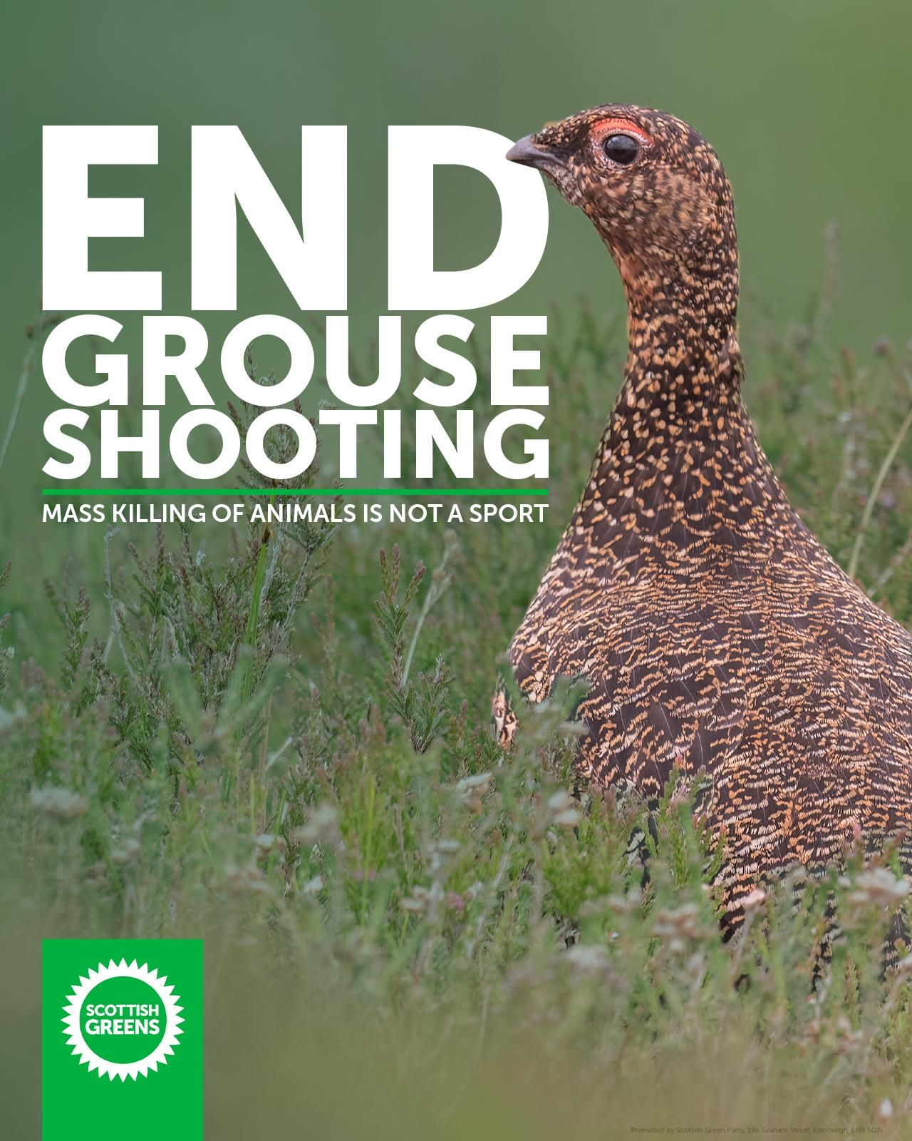 End Grouse Shooting.

Mass killing of animals is not a sport.

Scottish Greens.