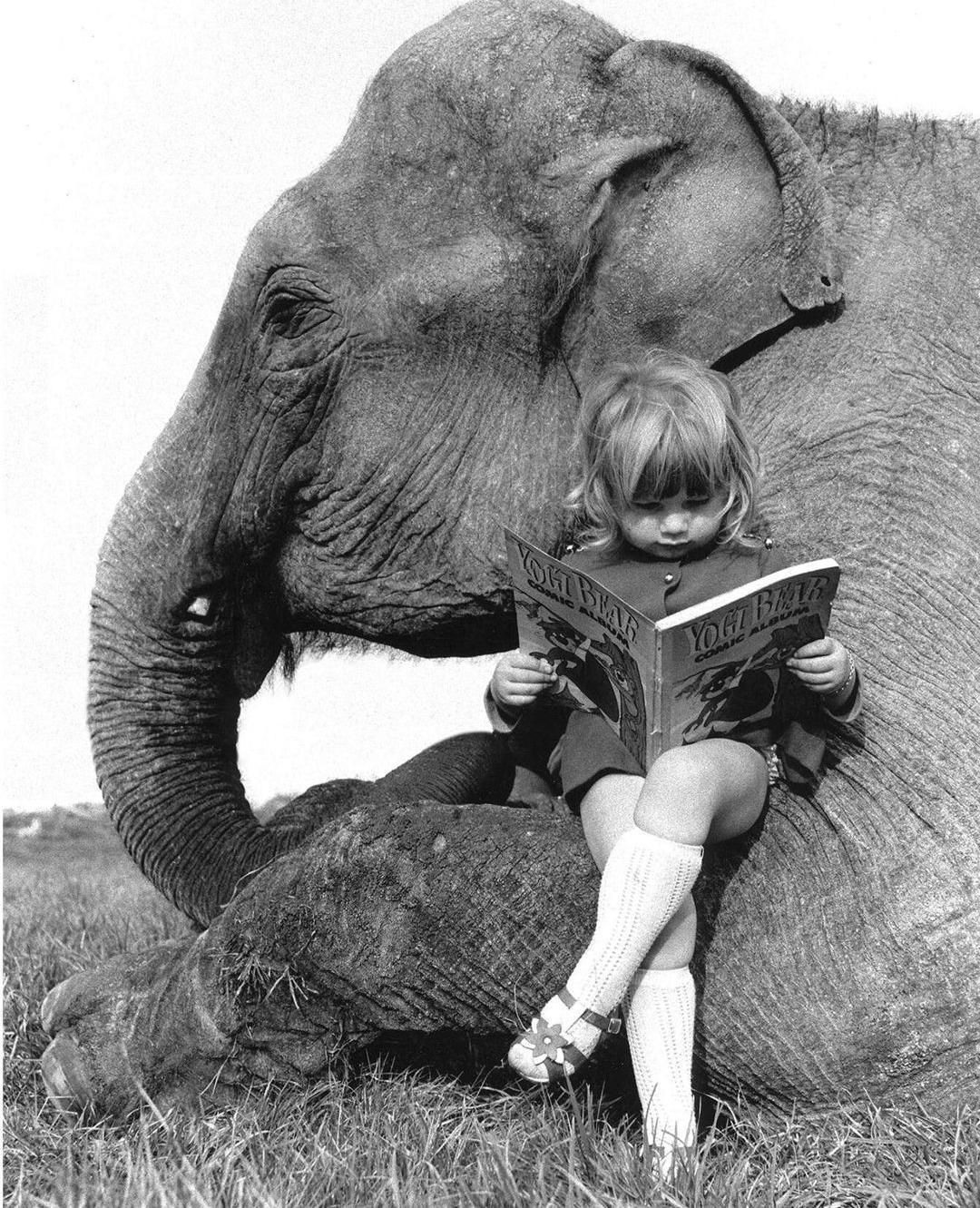 A little girl reads a Yogi Bear book as she relaxes on a hephalump's leg. 