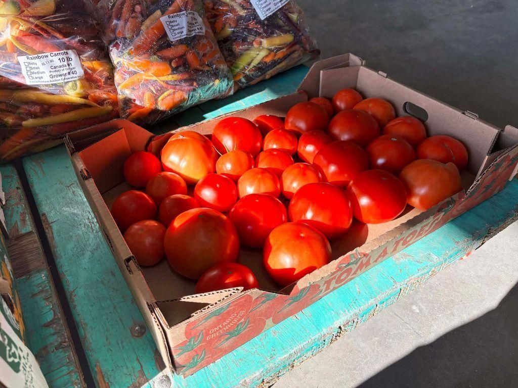A half bushel of tomatoes of various sizes 