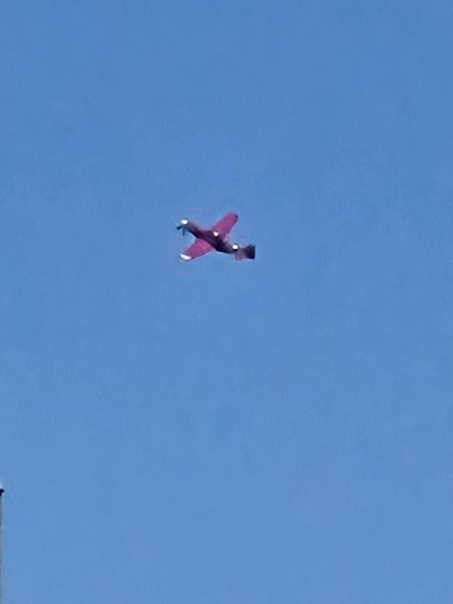 Plum Crazy doing stunts