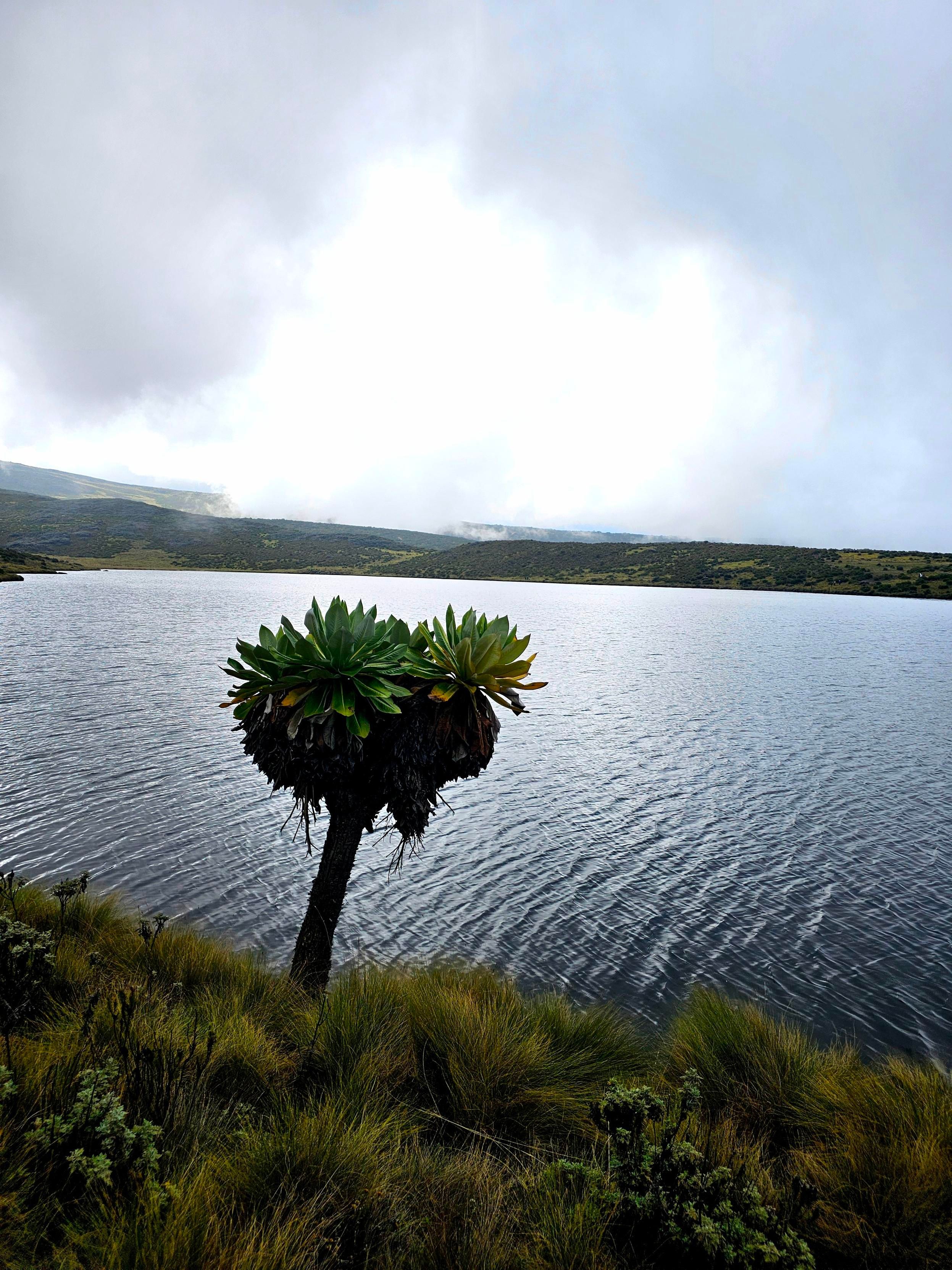 Lake Elis in Mount Kenya 
