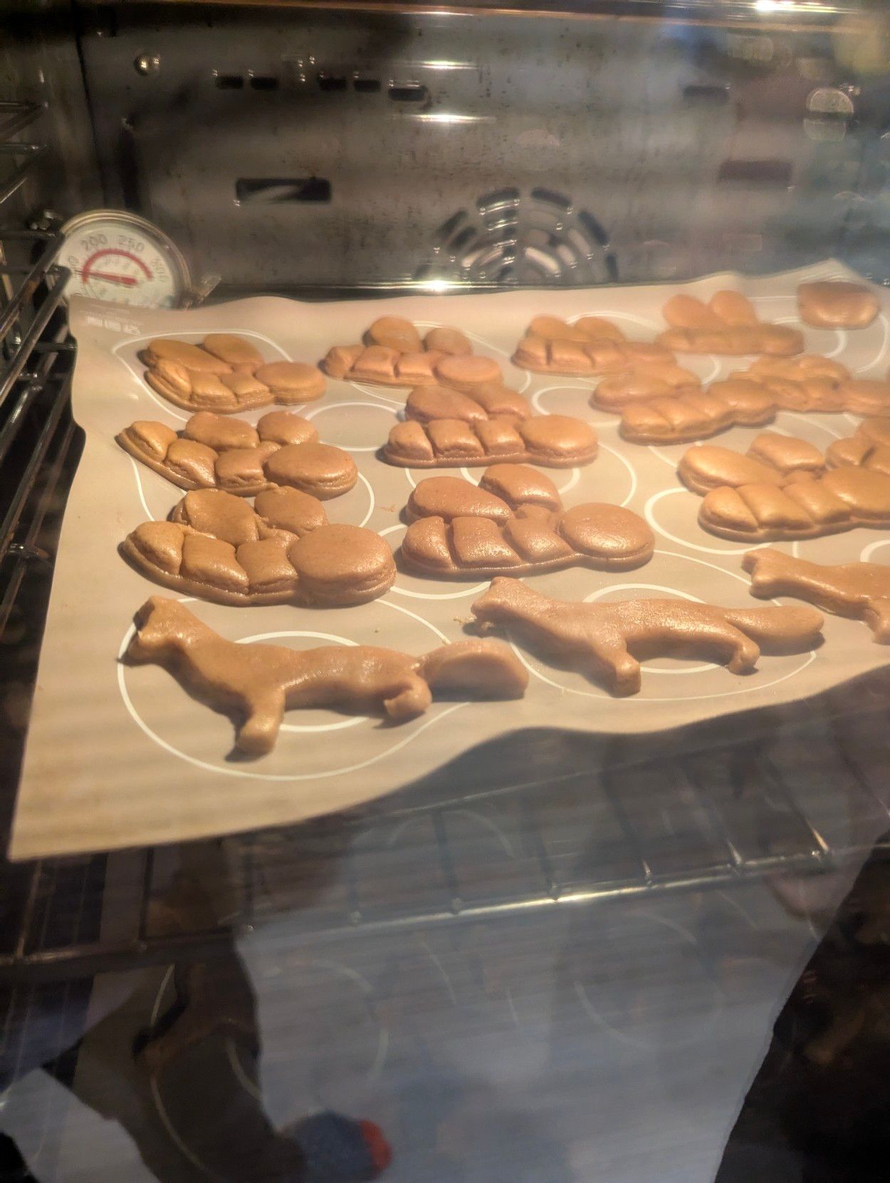 A mixture of gingerbread foxes and bees baking in an oven