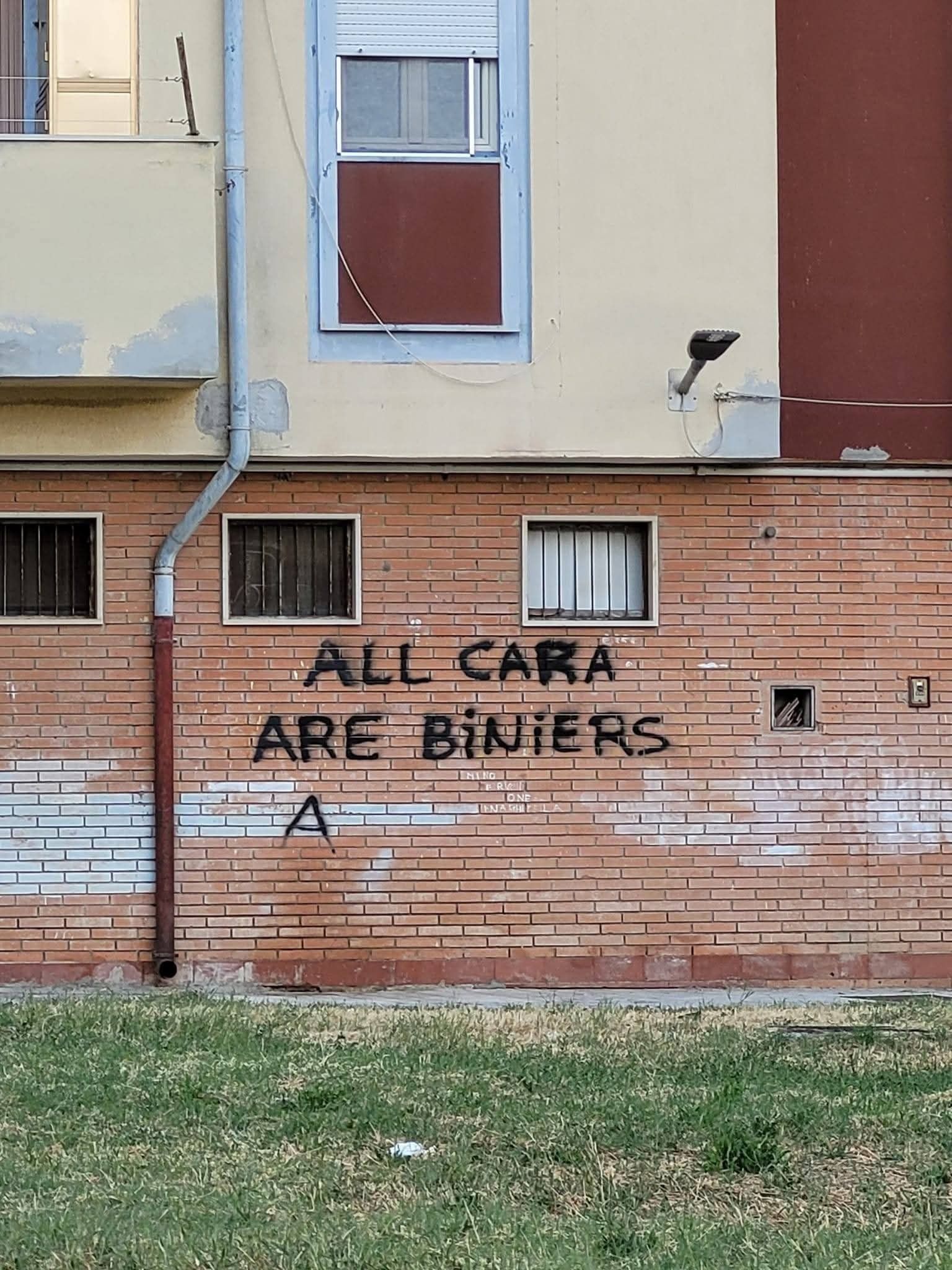 Scritta sul muro
All Cara
Are Biniers