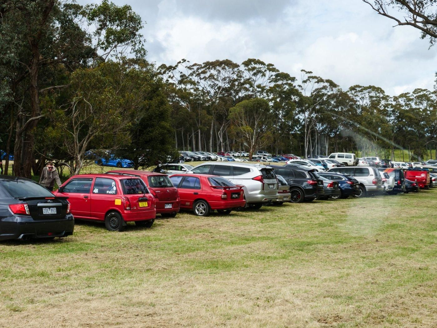 Line of cars across the grass, nicely lined up.