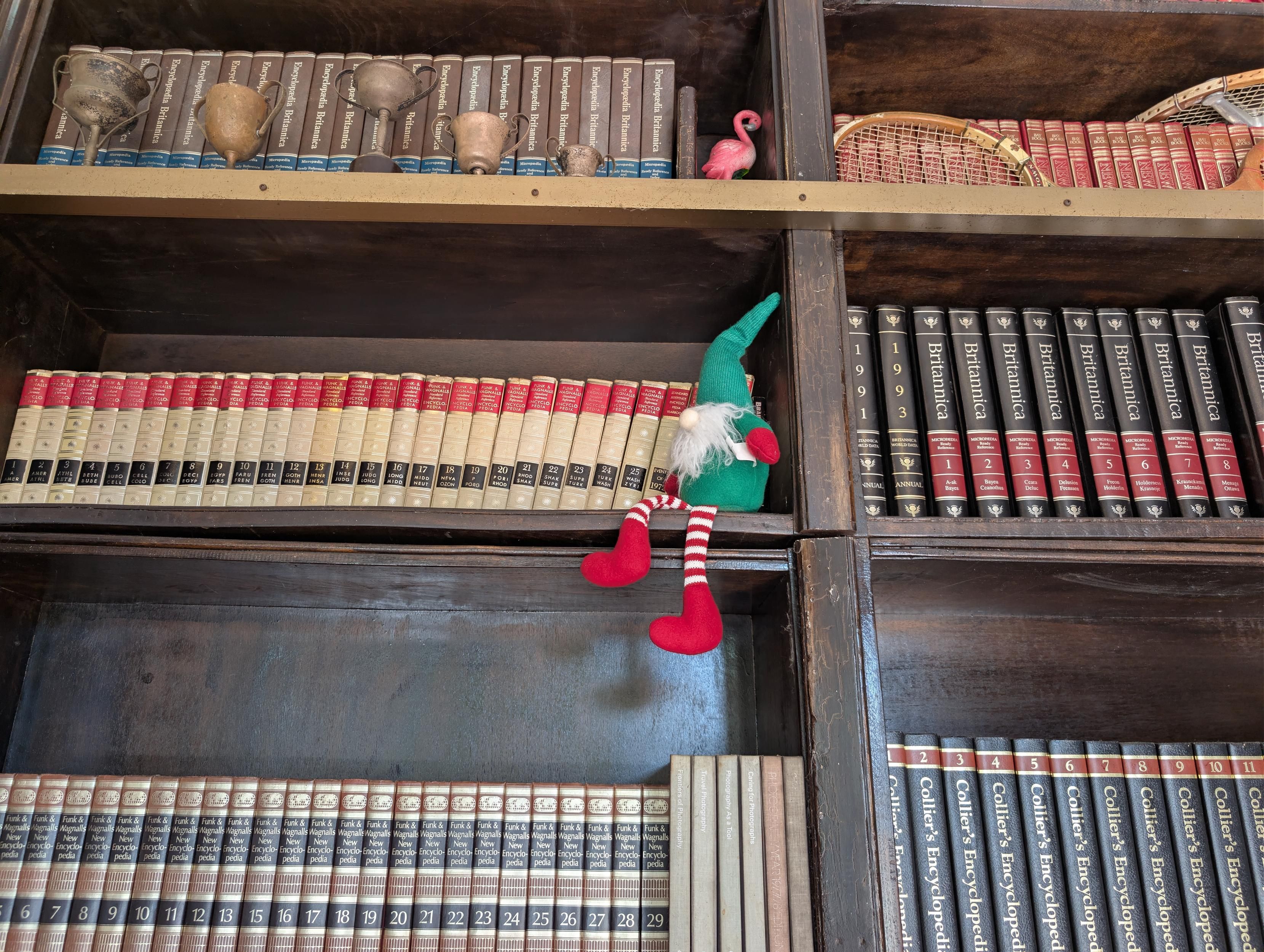 Elf on the shelf with a lot of books