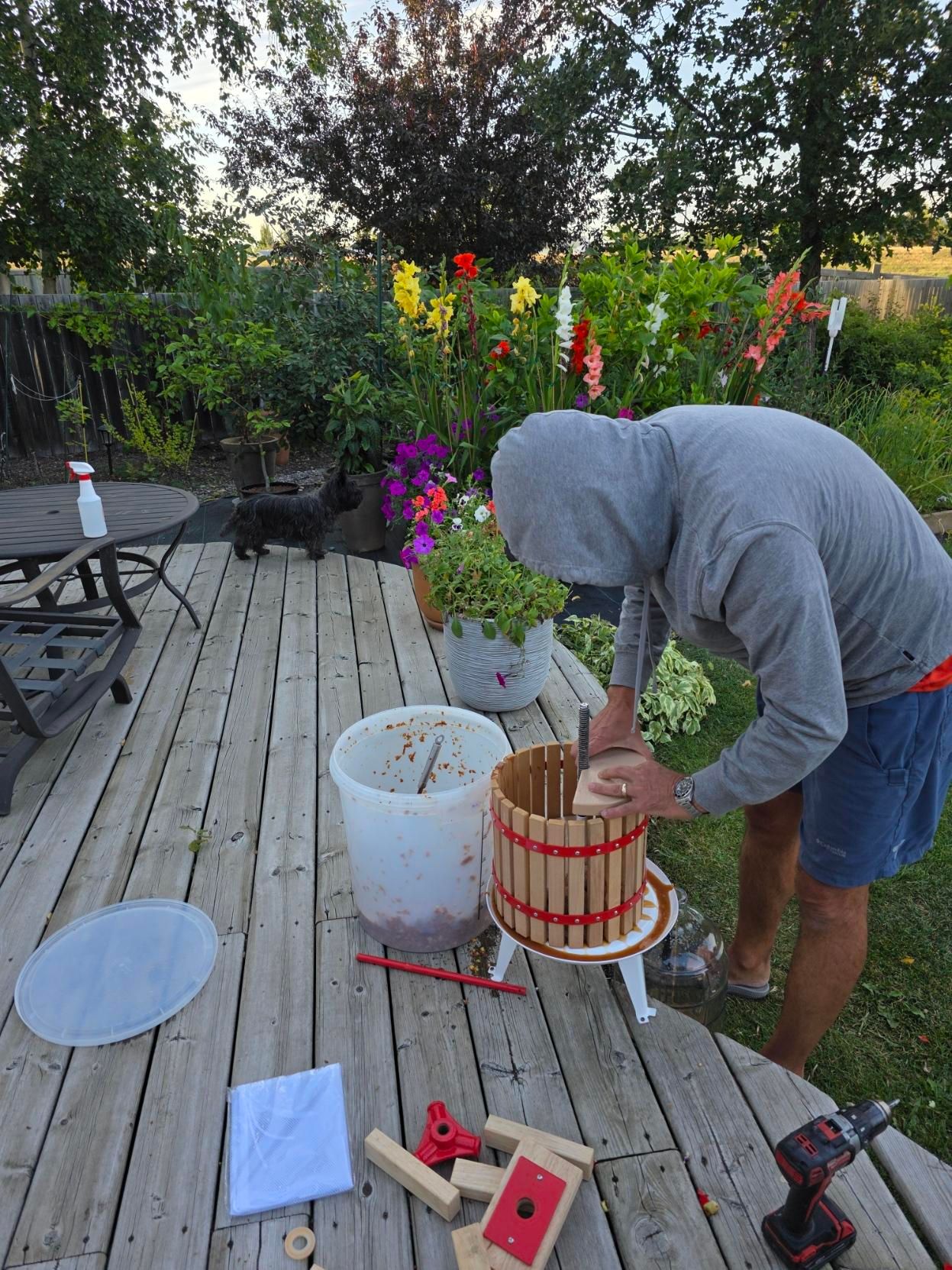 Prepping a cider press in the backyard